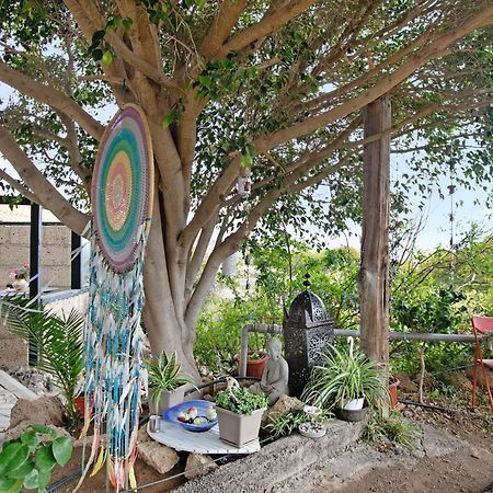 Casa Munay Granadilla De Abona Extérieur photo
